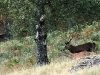 Vacances famille ecogite faune